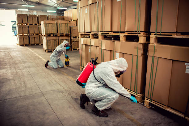 Best Ant Control Services  in Madison Center, CT