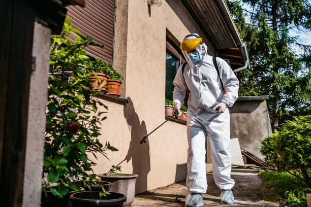 Best Cockroach Control Services  in Madison Center, CT