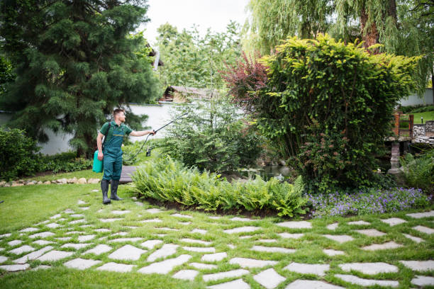 Reliable Madison Center, CT Pest Control Solutions