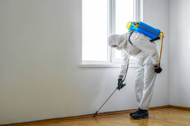 Best Pest Inspection Near Me  in Madison Center, CT