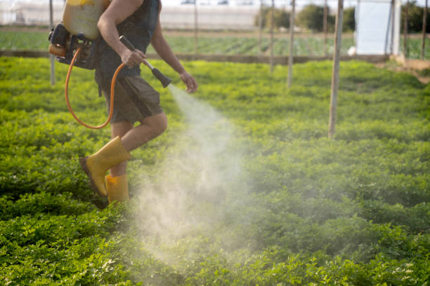 Best Commercial Pest Control Services  in Madison Center, CT