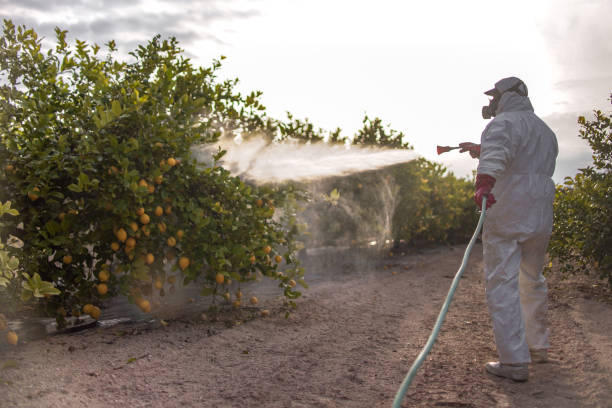 Best Affordable Pest Control Services  in Madison Center, CT