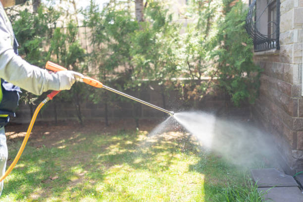 Best Pest Prevention Services  in Madison Center, CT