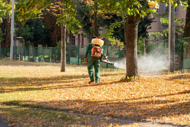 Best Emergency Pest Control  in Madison Center, CT